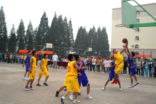 点击这里用新窗口浏览图片